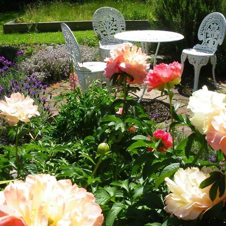 The Saddlery Bed & Breakfast Greytown Dış mekan fotoğraf